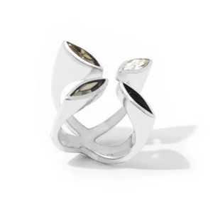 Anillo Galaxy Star