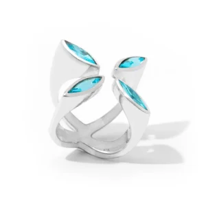 Anillo Galaxy Star