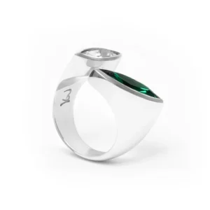 Anillo Galaxy Doble