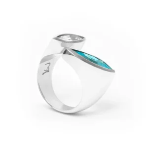 Anillo Galaxy Doble