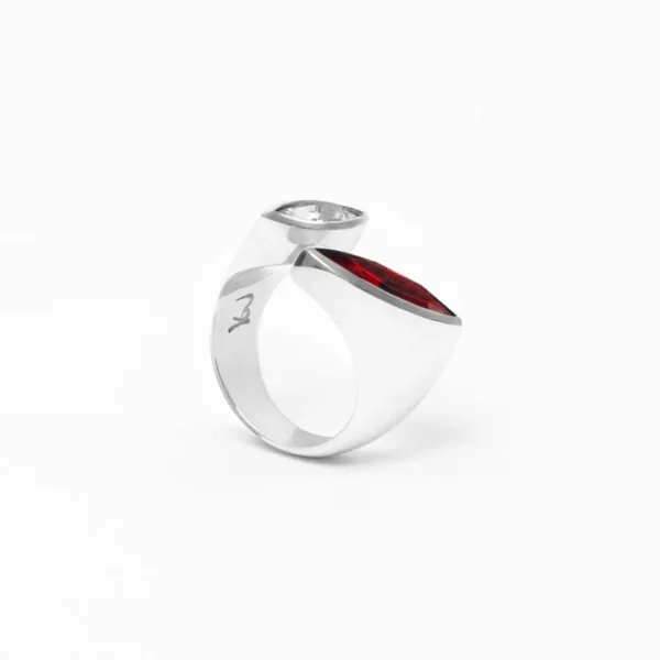 Anillo-Galaxy-Doble-6
