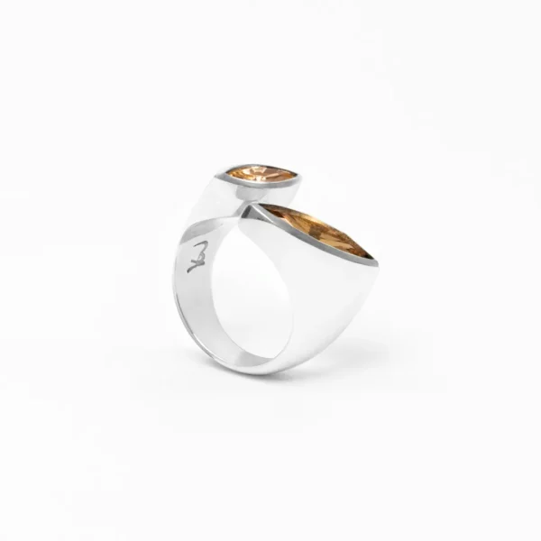 Anillo-Galaxy-Doble-7
