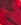 Star Rojo