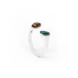 Anillo-Herbolarica-Doble-1