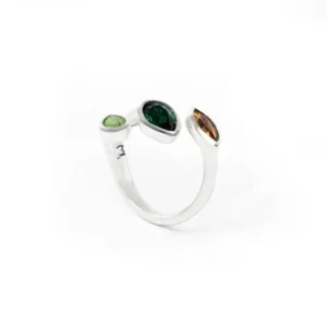 Anillo-Herbolarica-Triple-1