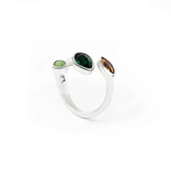 Anillo-Herbolarica-Triple-1